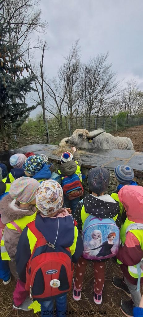 ZOO park Vyškov - Sovičky