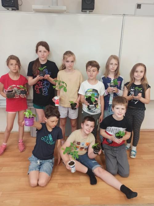 Sejeme dýně a rajčata